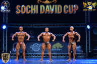Sochi David Cup - 2017