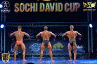 Sochi David Cup - 2017
