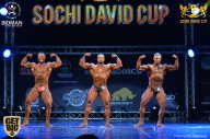 Sochi David Cup - 2017