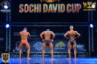 Sochi David Cup - 2017