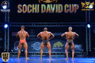 Sochi David Cup - 2017
