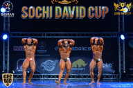 Sochi David Cup - 2017