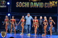 Sochi David Cup - 2017