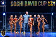 Sochi David Cup - 2017