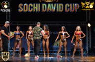 Sochi David Cup - 2017
