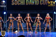Sochi David Cup - 2017