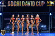 Sochi David Cup - 2017