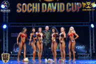 Sochi David Cup - 2017