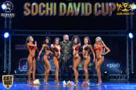 Sochi David Cup - 2017