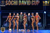 Sochi David Cup - 2017