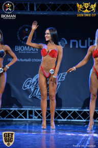 Sochi David Cup - 2017