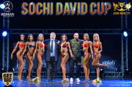 Sochi David Cup - 2017