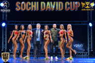 Sochi David Cup - 2017