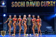 Sochi David Cup - 2017