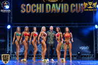 Sochi David Cup - 2017