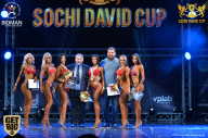 Sochi David Cup - 2017