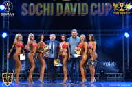 Sochi David Cup - 2017