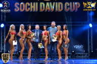 Sochi David Cup - 2017