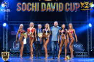 Sochi David Cup - 2017