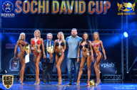 Sochi David Cup - 2017