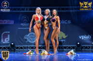 Sochi David Cup - 2017
