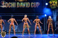 Sochi David Cup - 2017