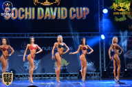Sochi David Cup - 2017
