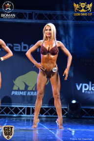 Sochi David Cup - 2017