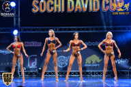 Sochi David Cup - 2017