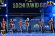 Sochi David Cup - 2017