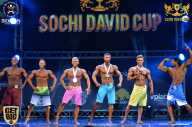 Sochi David Cup - 2017