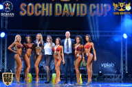 Sochi David Cup - 2017