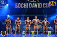 Sochi David Cup - 2017