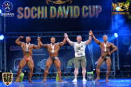 Sochi David Cup - 2017