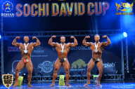 Sochi David Cup - 2017