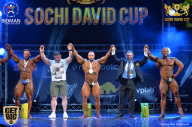 Sochi David Cup - 2017