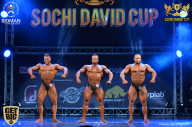 Sochi David Cup - 2017