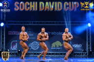 Sochi David Cup - 2017