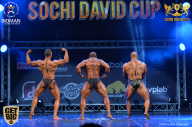Sochi David Cup - 2017