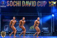 Sochi David Cup - 2017