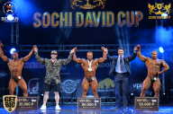 Sochi David Cup - 2017
