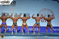 Гран-при России IFBB Elite Pro - 2018