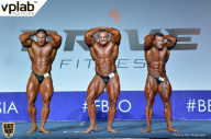 Гран-при России IFBB Elite Pro - 2018