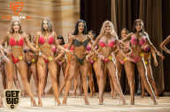 Men’s Physique & Bikini Stars - 2018