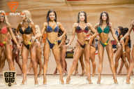 Men’s Physique & Bikini Stars - 2018