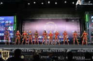 IFBB Elite Pro Moscow Bodybuilding Cup - 2018