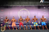 IFBB Elite Pro Moscow Bodybuilding Cup - 2018