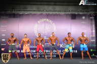 IFBB Elite Pro Moscow Bodybuilding Cup - 2018
