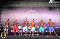 IFBB Elite Pro Moscow Bodybuilding Cup - 2018
