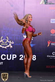 IFBB Elite Pro Moscow Bodybuilding Cup - 2018